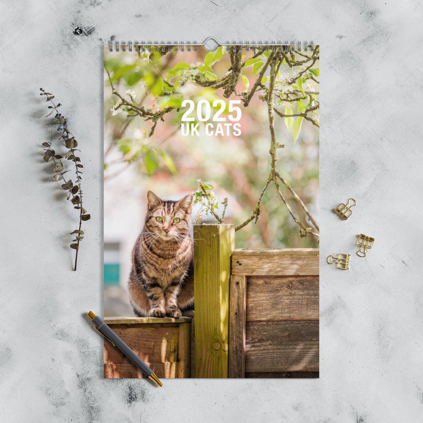 Cats of England, Wall calendar (2025) - Gorma & Friends