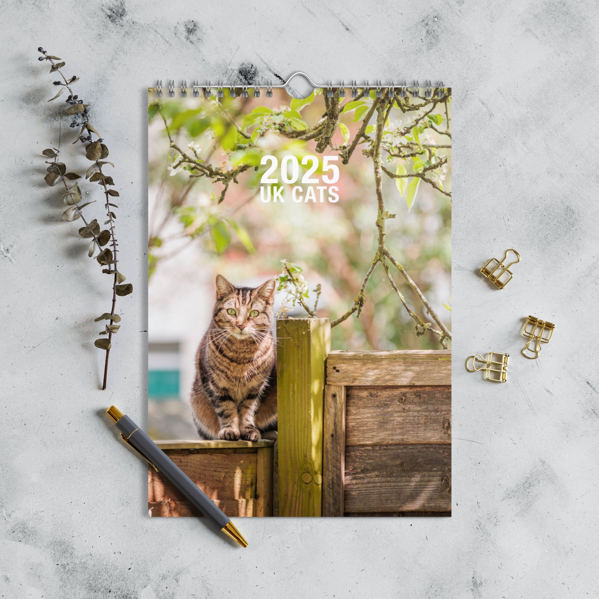 Cats of England, Wall calendar (2025) - Gorma & Friends