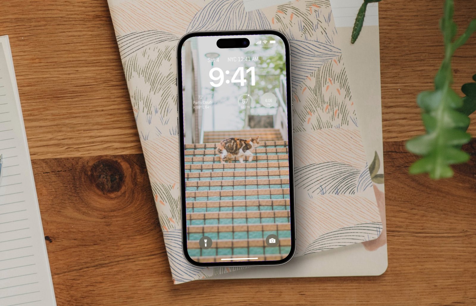Cat wallpaper on a phone screen